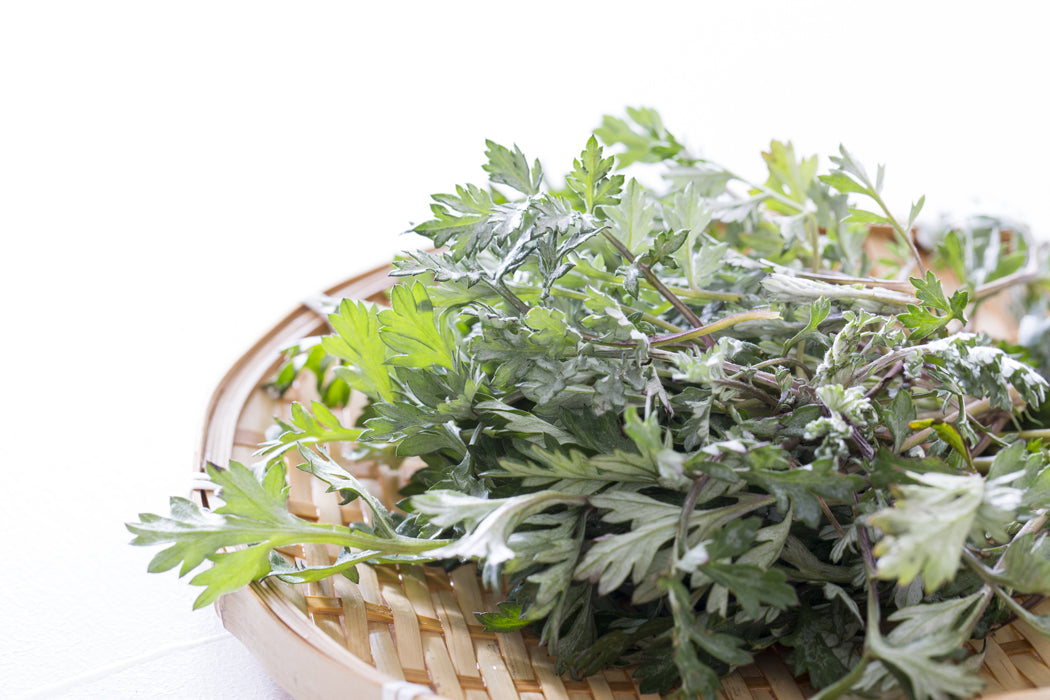 Premium organic dried Mugwort made from pure Japan 100% 500g herb tea beauty