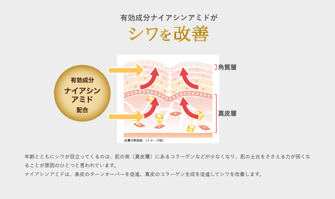 Rohto Hadalabo Gokujyun aging care cream 50g niacinamide hyaluronic acid made in Japan