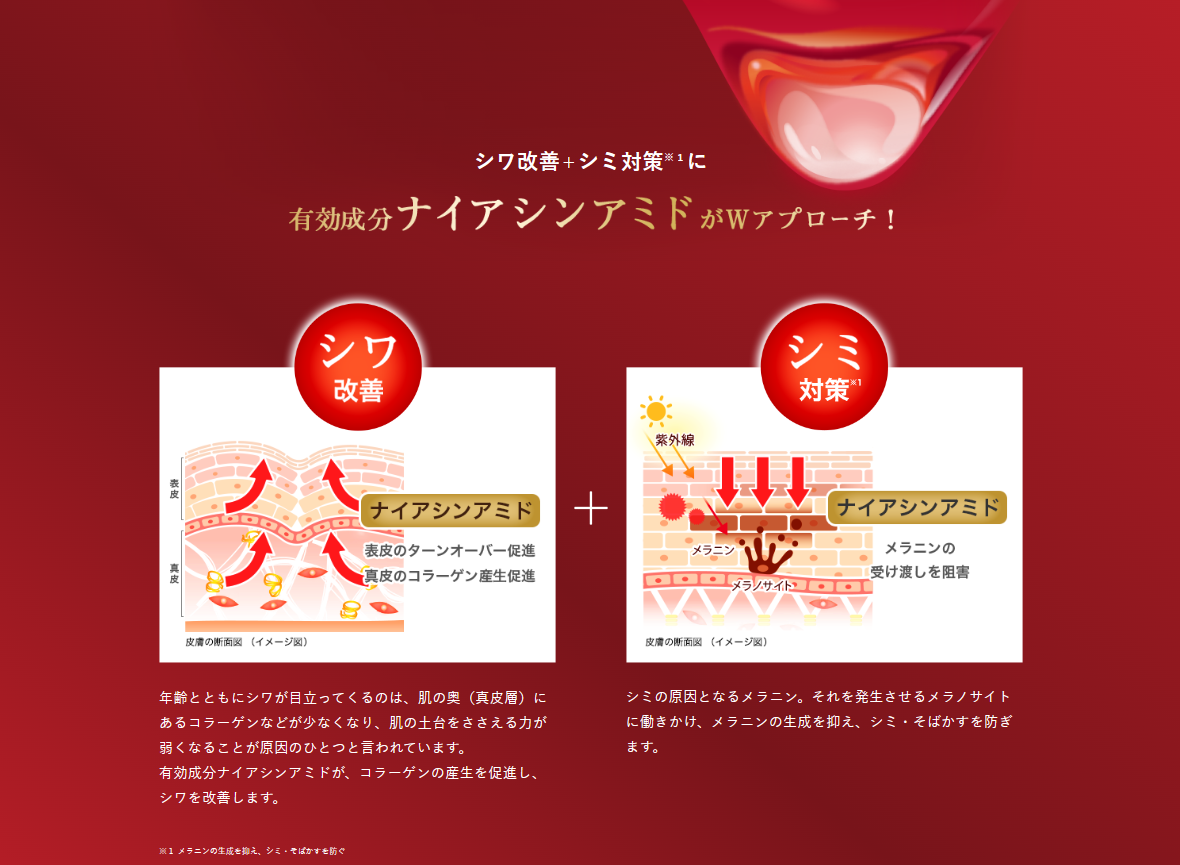 Rohto Hadalabo Gokujyun aging care cream 50g niacinamide hyaluronic acid made in Japan