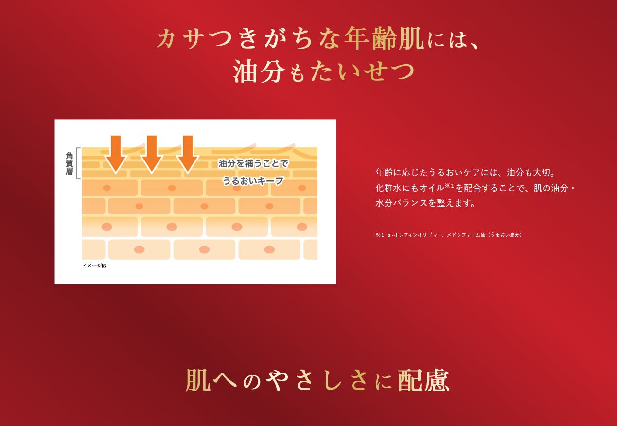 Rohto Hadalabo Gokujyun aging care cream 50g niacinamide hyaluronic acid made in Japan