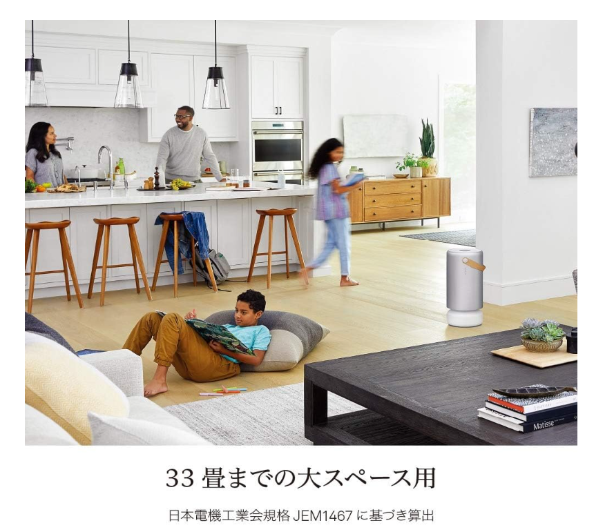 Molekule Air Pro Air Purifier Silver New from japan