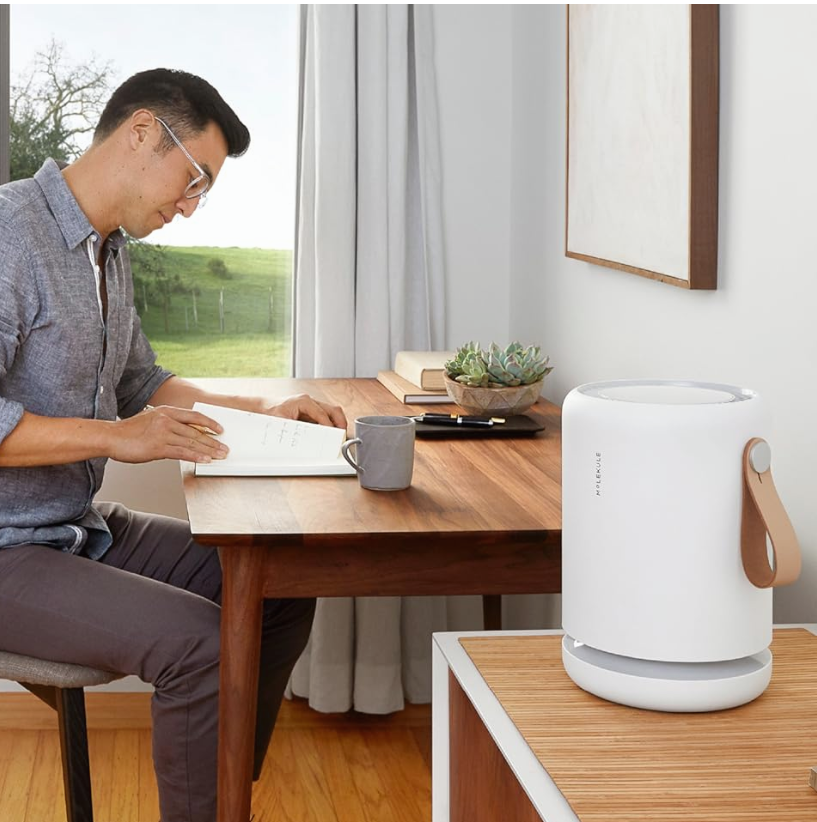 Molekule Air Pro Air Purifier Silver New from japan